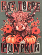 Load image into Gallery viewer, Hay There Pumpkin Graphic T
