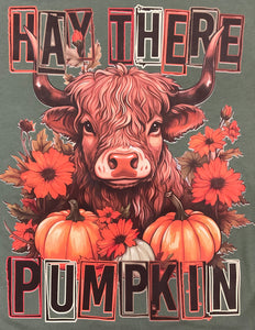 Hay There Pumpkin Graphic T