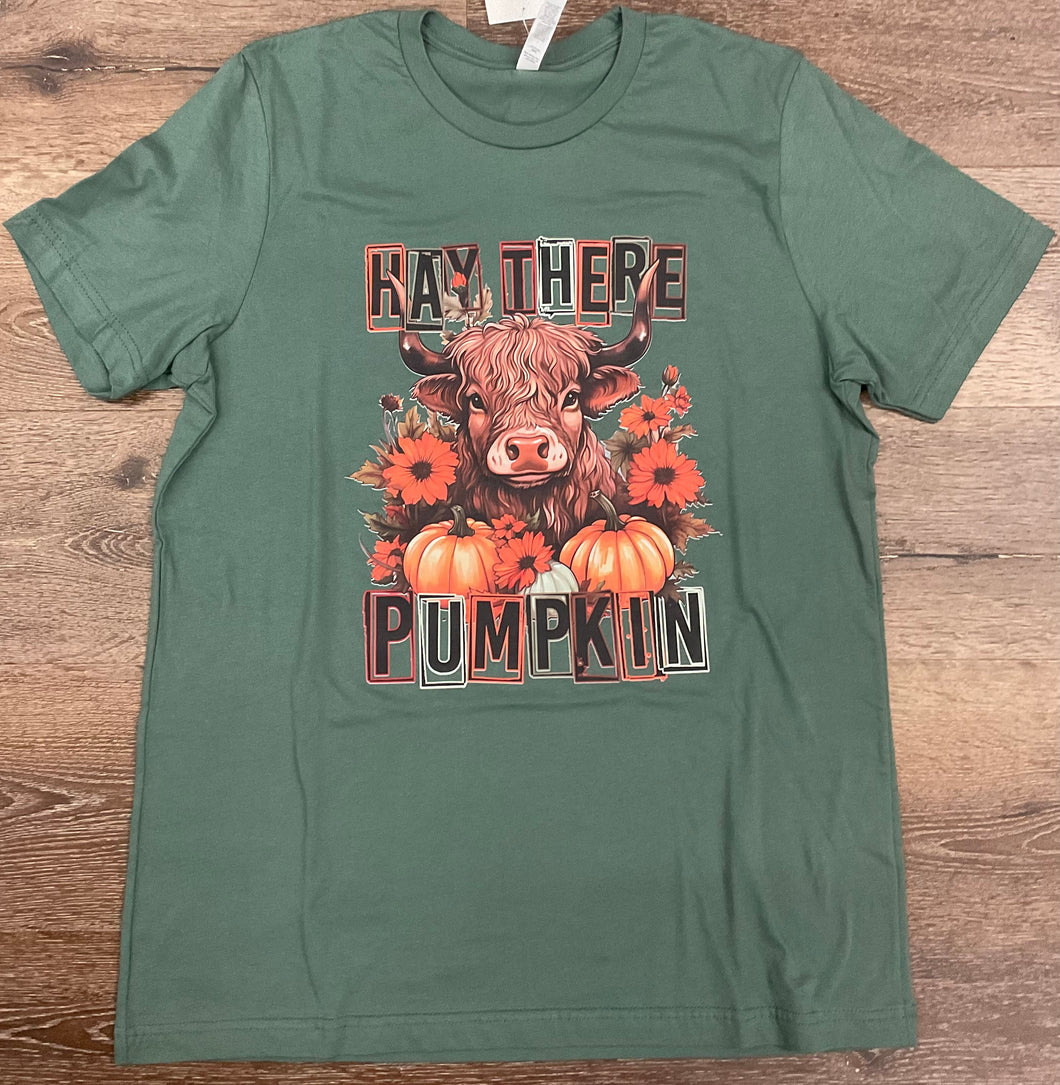 Hay There Pumpkin Graphic T