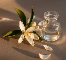 Load image into Gallery viewer, Pura Linen&amp;Surf
