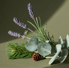 Load image into Gallery viewer, Pura Lavender Fields
