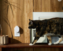 Load image into Gallery viewer, Pura Mini Diffuser
