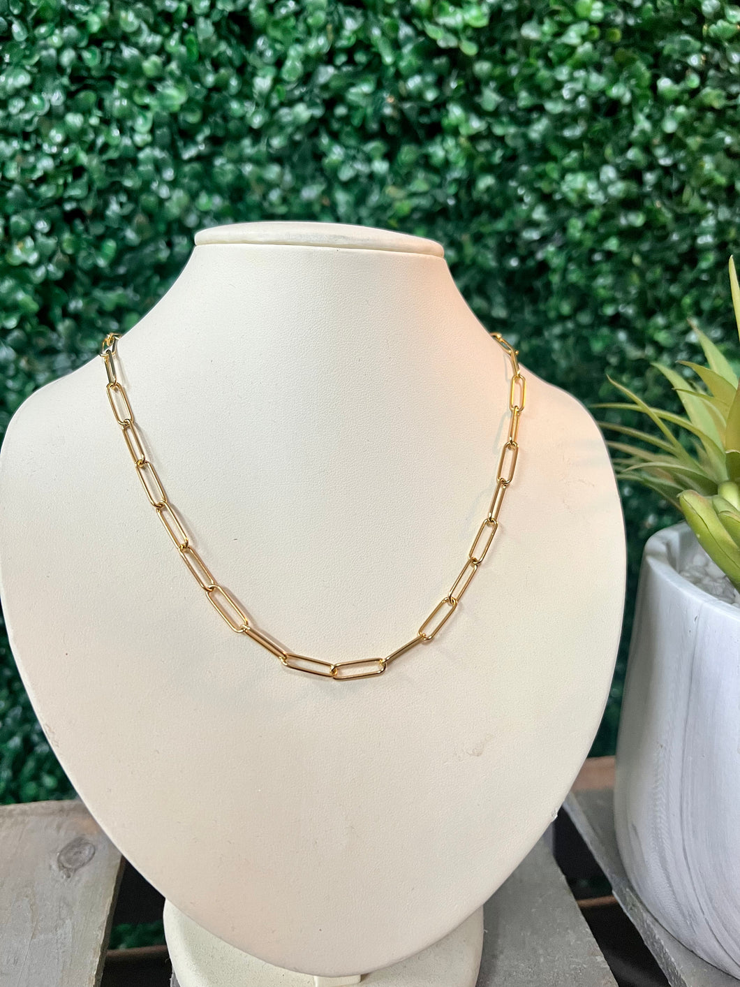 Gold Simple Chain Necklace